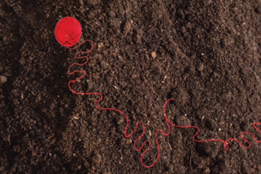 Photo de la galerie d'image de La terre sous les ongles